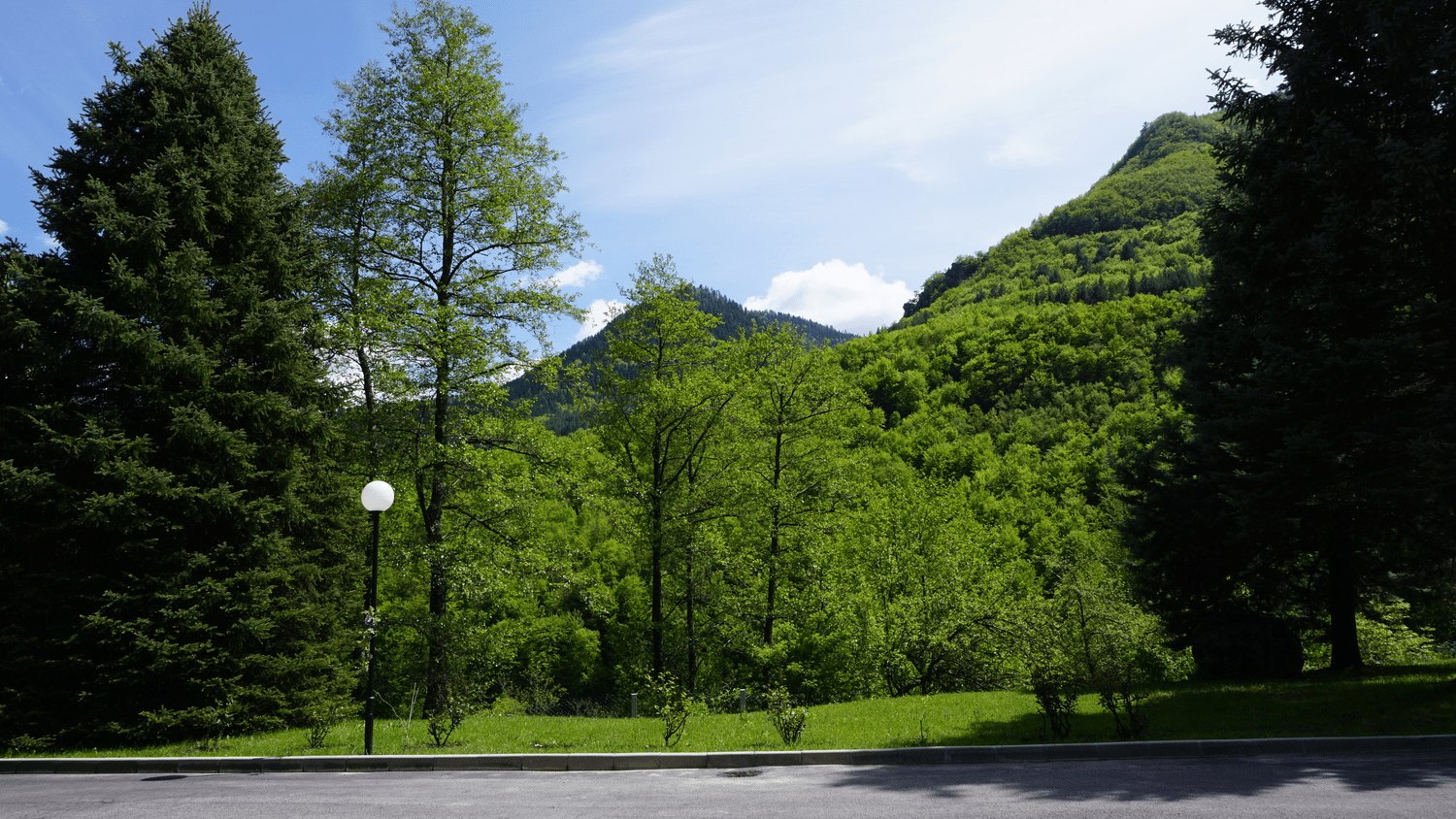 blog